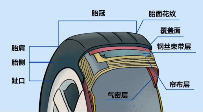 轮胎结构.png